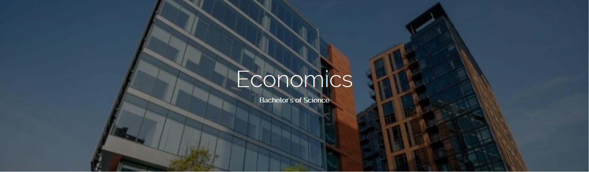 EconomicsHeader