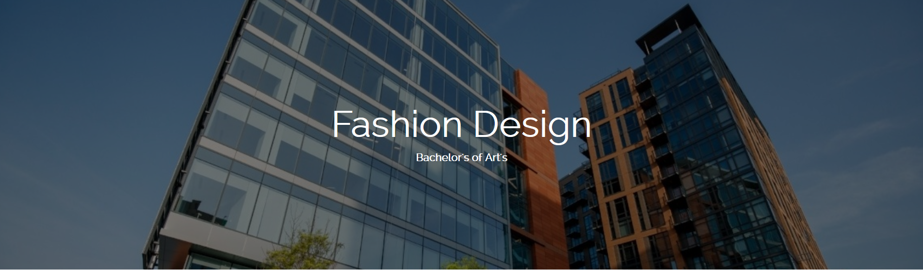 FashionDesignBA